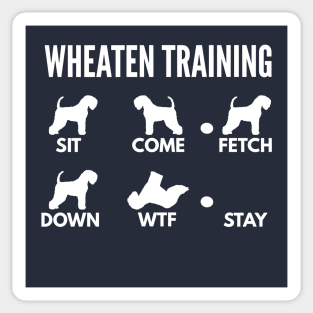 Wheaten Terrier Training Wheaten Dog Tricks Sticker